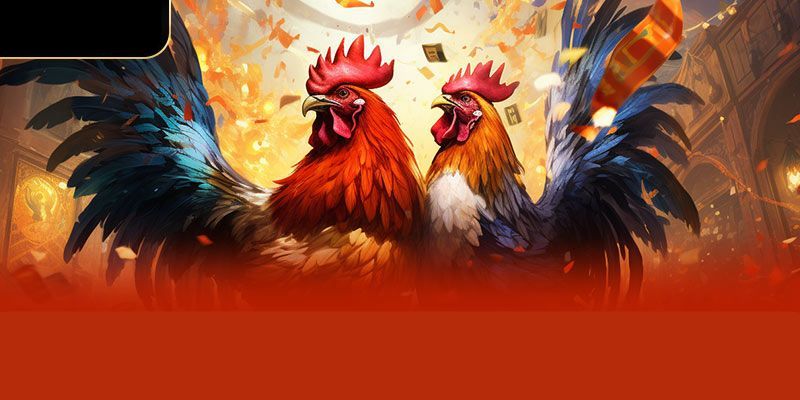 Tuyệt chiêu đặt cược thắng lớn trong trực tiếp đá gà C1 thắng đậm